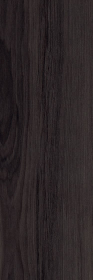 Spacia Woods - 0,55 mm | Inked Cedar | Plaques en matières plastiques | Amtico