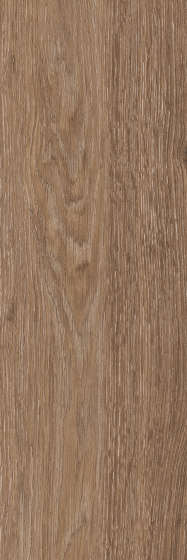 Spacia Woods - 0,55 mm | Rustic Limed Wood | Kunststoff Platten | Amtico