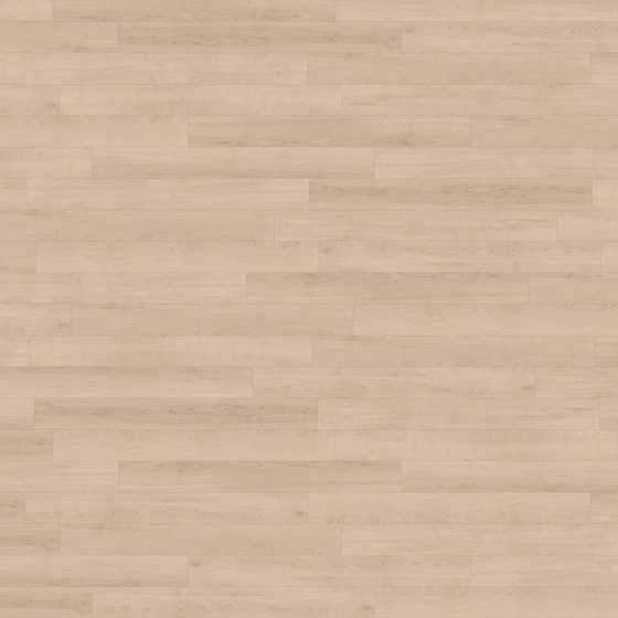 Spacia Woods - 0,55 mm | White Maple | Synthetic panels | Amtico