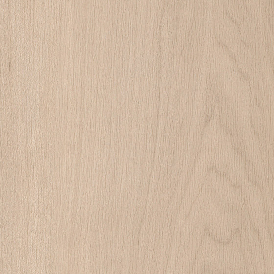 Spacia Woods - 0,55 mm | White Maple | Planchas de plástico | Amtico