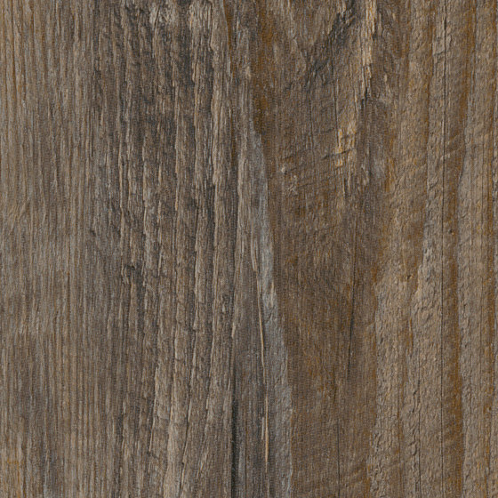 Spacia Woods - 0,55 mm | Estuary Pine | Synthetic panels | Amtico