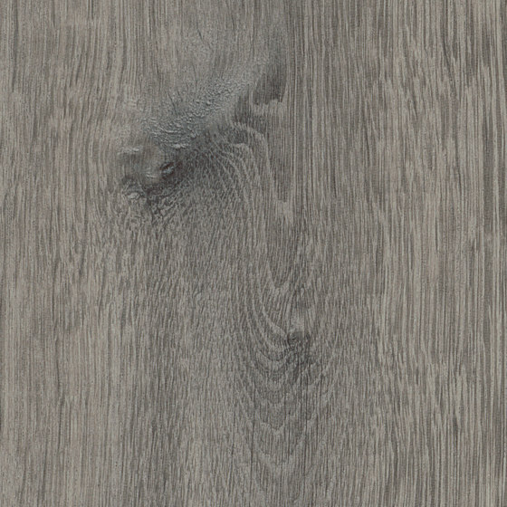 Spacia Woods - 0,55 mm | Sash Oak | Planchas de plástico | Amtico
