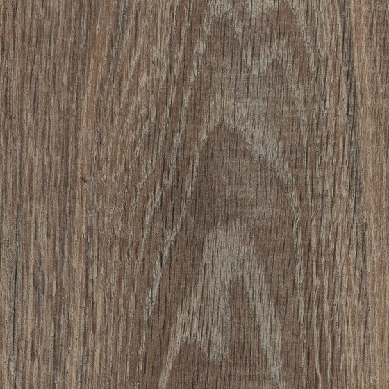 Spacia Woods - 0,55 mm | Haven Oak | Synthetic panels | Amtico