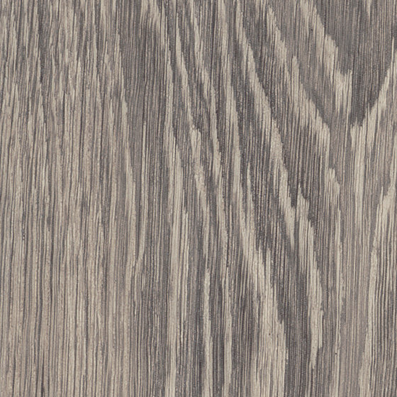 Spacia Woods - 0,55 mm | Credenza Oak | Synthetic panels | Amtico