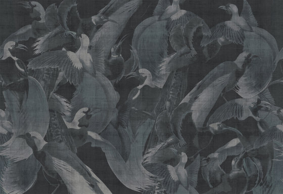 Birds Of Paradise | Revêtements muraux / papiers peint | LONDONART