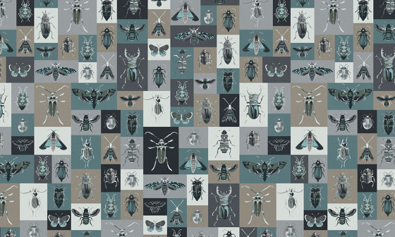 Bugs | Revestimientos de paredes / papeles pintados | WallPepper/ Group
