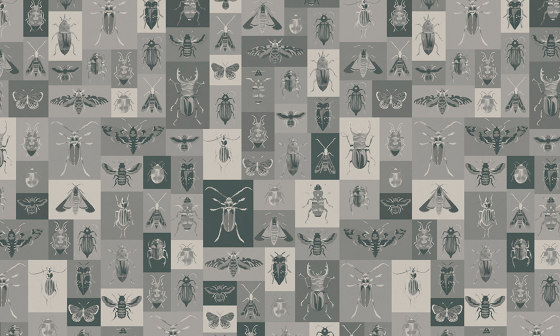 Bugs | Revêtements muraux / papiers peint | WallPepper/ Group