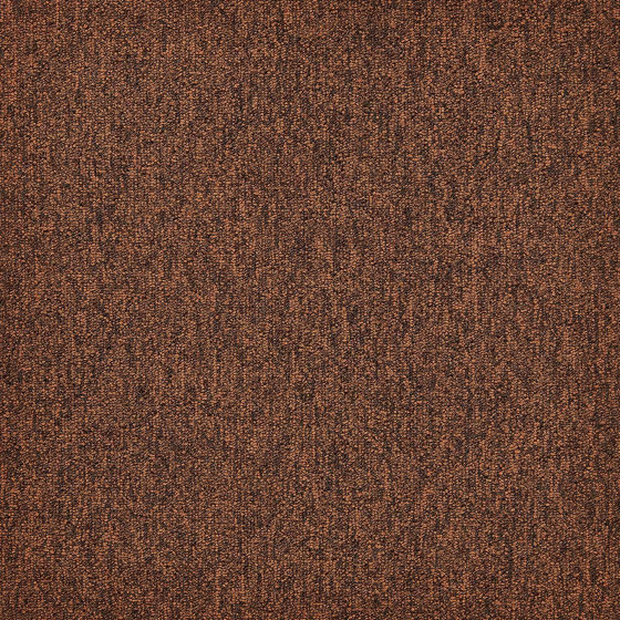First Forward 283 | Carpet tiles | modulyss