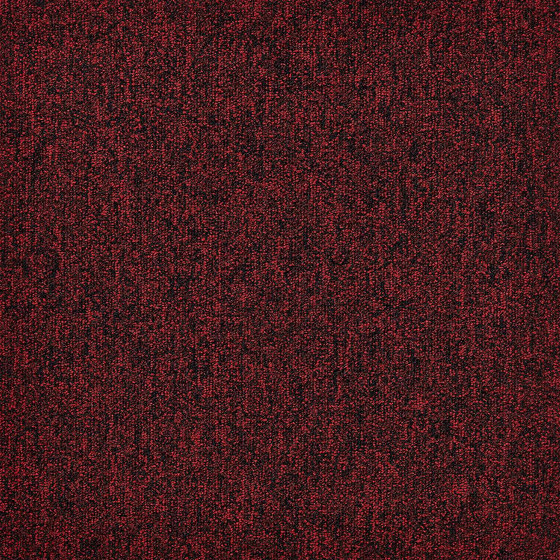 First Forward 353 | Carpet tiles | modulyss