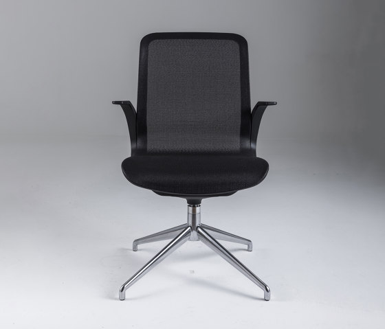 SmartLight | Stühle | Luxy