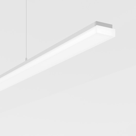 Purelite Slim | Suspended lights | Regent Lighting