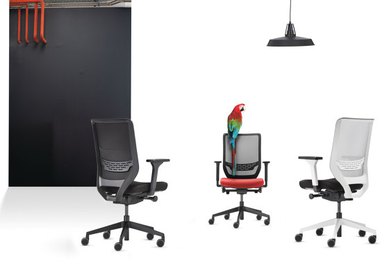 to-sync black mesh pro | Office chairs | TrendOffice