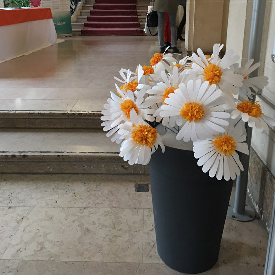 Fleurs Marguerite | Objets | PROCÉDÉS CHÉNEL