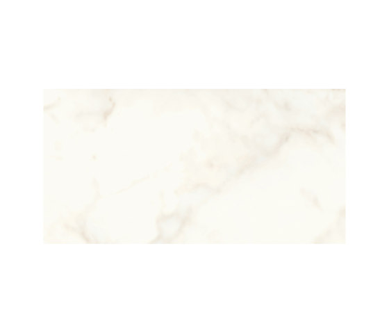Marvel Shine Calacatta Delicato 37,5x75 Lapp | Carrelage céramique | Atlas Concorde