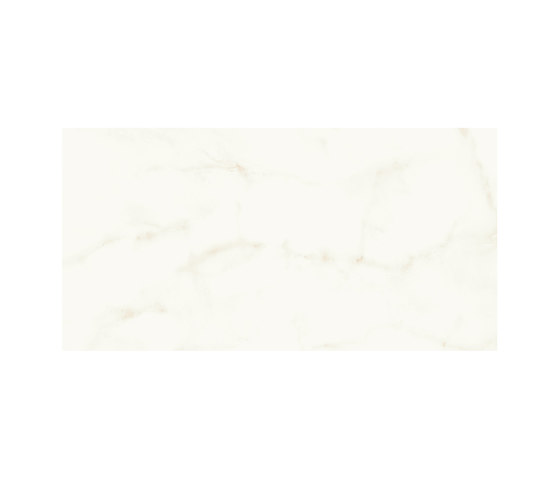 Marvel Shine Calacatta Delicato 40x80 Shiny | Carrelage céramique | Atlas Concorde