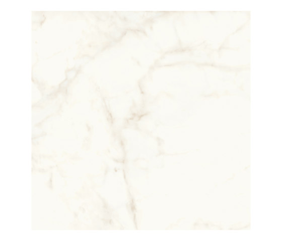 Marvel Shine Calacatta Delicato 120x120 Lapp | Piastrelle ceramica | Atlas Concorde