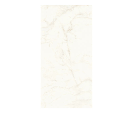 Marvel Shine Calacatta Delicato 120x240 Lapp | Carrelage céramique | Atlas Concorde