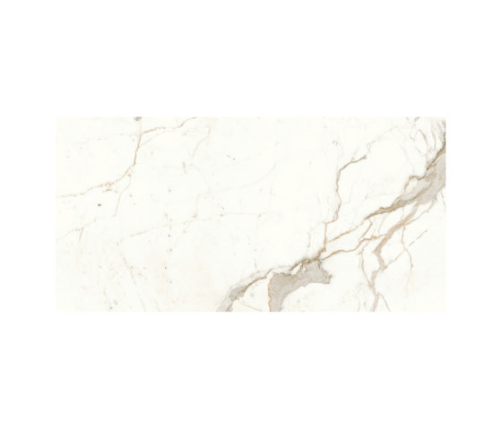Marvel Shine Calacatta Prestigio 60x120 | Ceramic tiles | Atlas Concorde