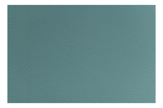 Prodigy | Lagoon by Morbern Europe | Faux leather
