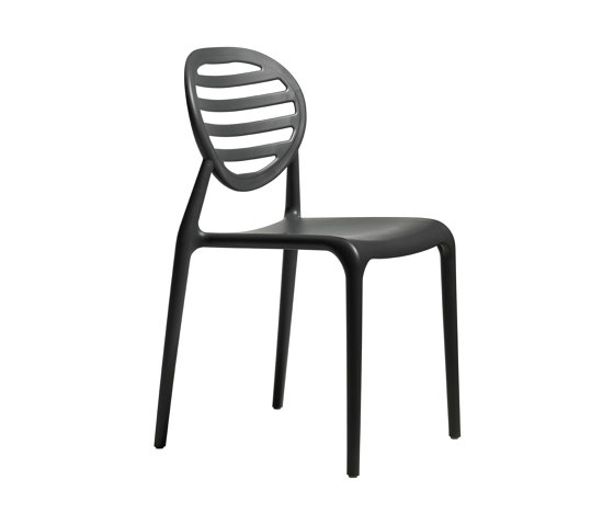 Top Gio | Chairs | SCAB Design