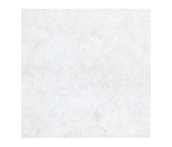Shellstone Extrawhite | Ceramic tiles | Settecento