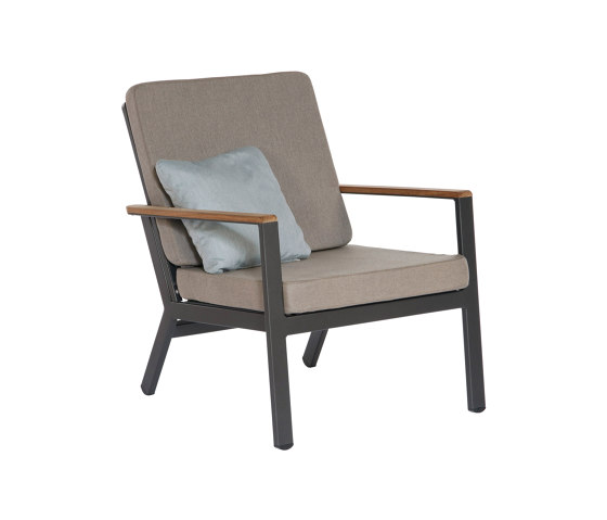 Aura Lounge Chair DS (Graphite Frame - Charcoal Sling) | Sillones | Barlow Tyrie