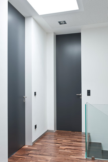 Modern Doors floor to ceiling FLAT db703 | Internal doors | ComTür