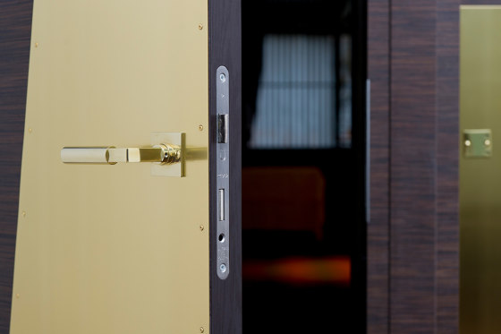 Moderne Innentüren Massanfertigung mit Edelstahl PVD Gold | Innentüren | ComTür