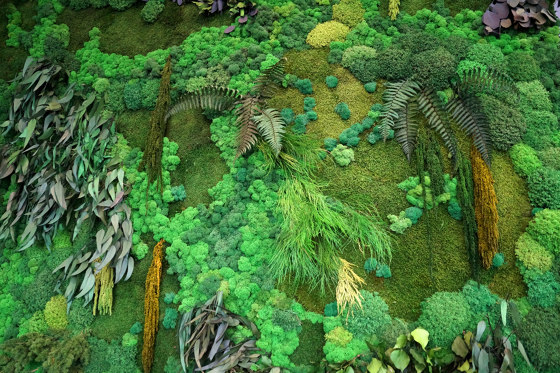 Mooswand Mit Konservierte Pflanzen Und Moos | Pflanzeninsel-Wände | Schalldämpfende Objekte | Ekomoss