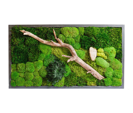 Rectangular Moss Picture | Plant Picture With Mix Moss, Preserved Plants And Wood Bark 120X60cm | Sound absorbing objects | Ekomoss