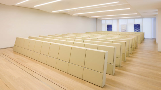 Système de sièges escamotables | Fauteuil Auditorium | Lamm