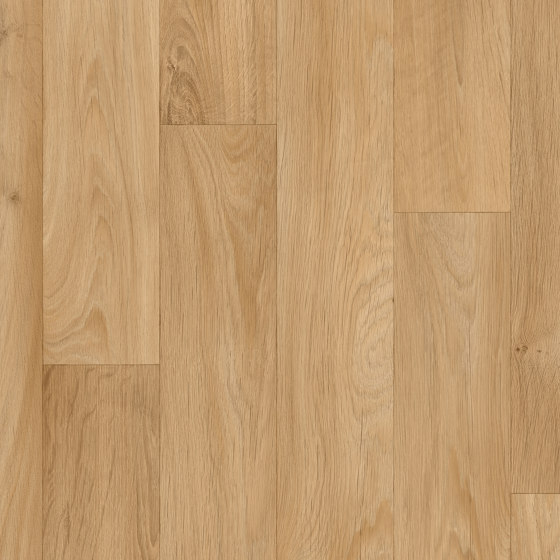 Isafe 70 | Woods - Camargue Blond Oak 555 | Pavimenti plastica | IVC Commercial
