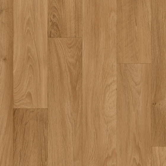 Isafe 70 | Woods - Camargue Golden Oak 558 | Pavimenti plastica | IVC Commercial