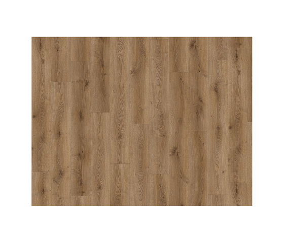Matrix 70 Loose Lay | Traditional Oak 1826 | Planchas de plástico | IVC Commercial