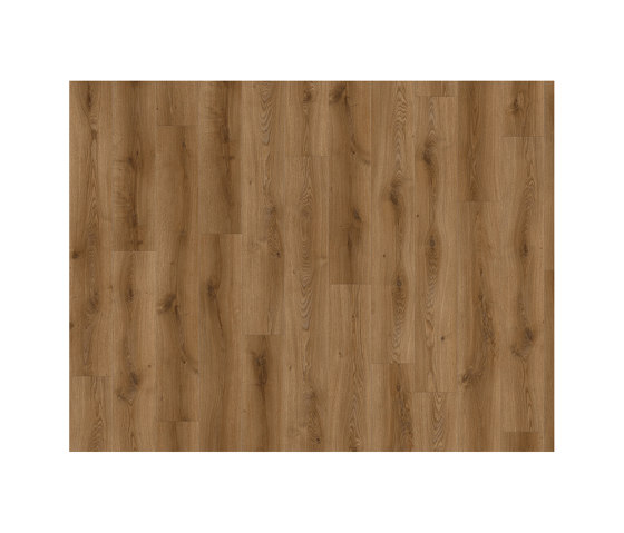 Matrix 70 Loose Lay | Traditional Oak 1866 | Plaques en matières plastiques | IVC Commercial
