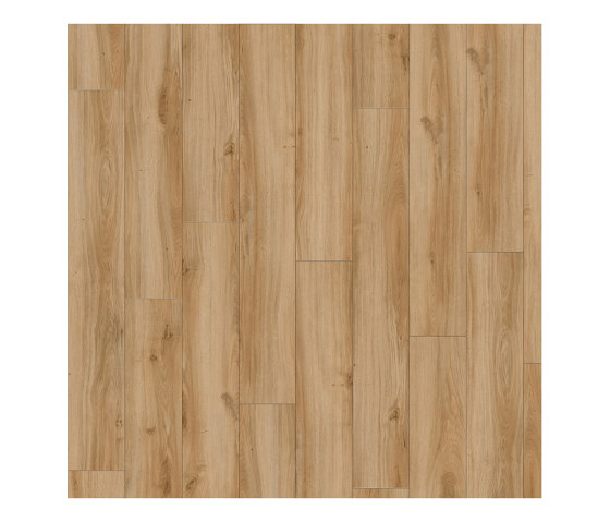 Moduleo 40 | Classic Oak 24837 | Synthetic panels | IVC Commercial