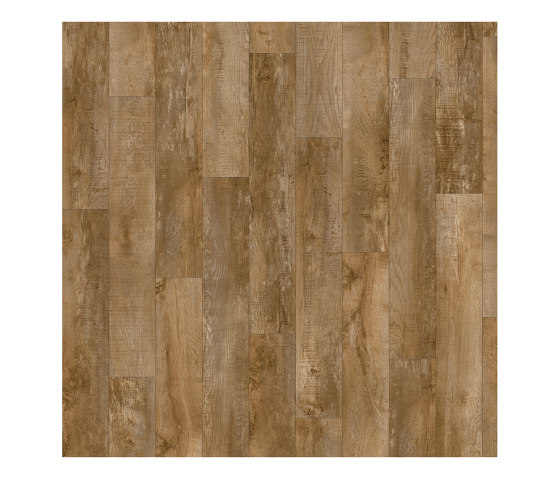 Moduleo 40 | Country Oak 24842 | Synthetic panels | IVC Commercial