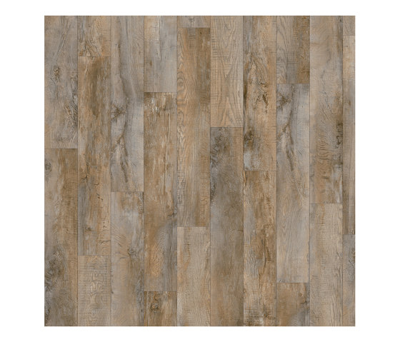 Moduleo 40 | Country Oak 24958 | Synthetic panels | IVC Commercial