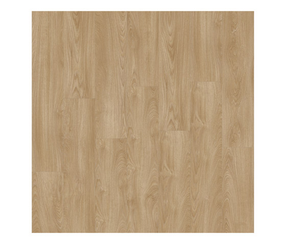 Moduleo 55 Impressive | Laurel Oak 51824 | Synthetic tiles | IVC Commercial