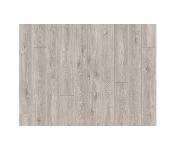 Moduleo 55 Impressive | Sierra Oak 58936 | Synthetic panels | IVC Commercial