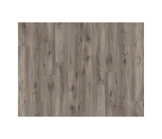 Moduleo 55 Impressive | Sierra Oak 58956 | Synthetic panels | IVC Commercial