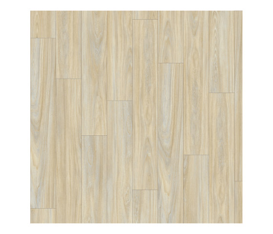 Moduleo 55 Woods | Baltic Maple 28230 | Synthetic panels | IVC Commercial
