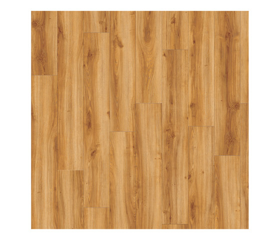 Moduleo 55 Woods | Classic Oak 24438 | Planchas de plástico | IVC Commercial