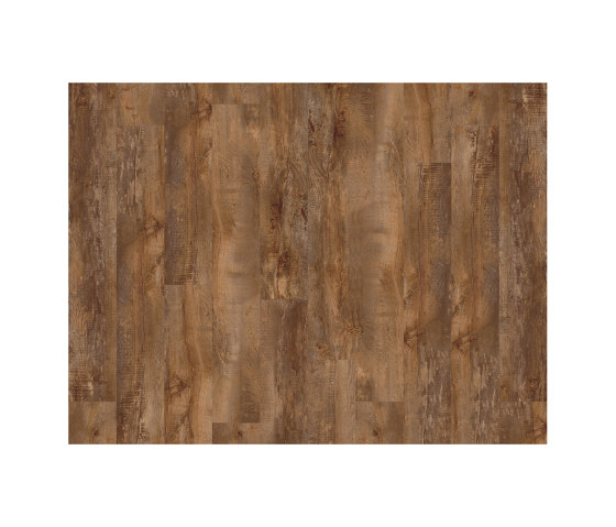 Moduleo 55 Woods | Country Oak 24456 | Synthetic panels | IVC Commercial