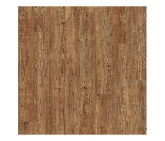 Moduleo 55 Woods | Latin Pine 24874 | Kunststoff Platten | IVC Commercial