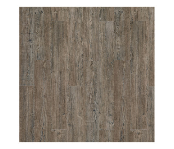 Moduleo 55 Woods | Latin Pine 24868 | Synthetic panels | IVC Commercial
