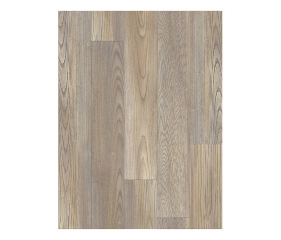 Moduleo 55 Woods | Mexican Ash 20245 | Synthetic panels | IVC Commercial
