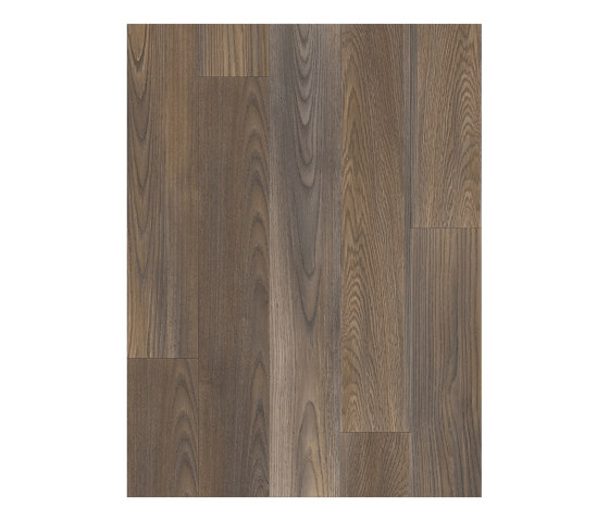 Moduleo 55 Woods | Mexican Ash 20875 | Synthetic panels | IVC Commercial
