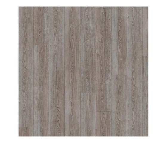 Layred 55 | Verdon Oak 24962 | Kunststoff Platten | IVC Commercial