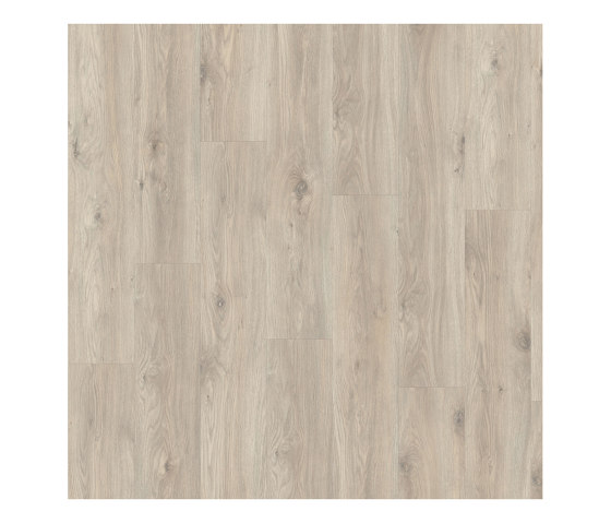 Layred 55 Impressive | Sierra Oak 58239 | Kunststoff Platten | IVC Commercial